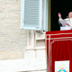 Illustration for article titled Pope Says the Catholic Church Is Great at Handling Sexual Assault